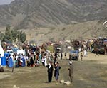 Pakistan May Query Families on Return from Afghanistan